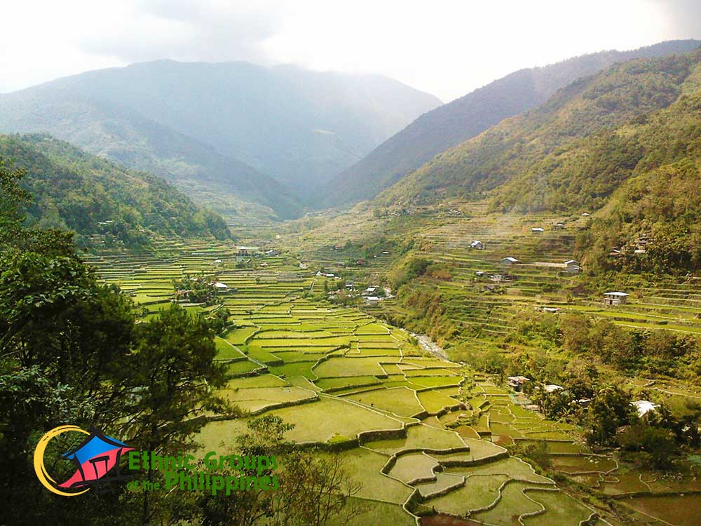 Scenic view of the rice terraces in Banawe Ifugao